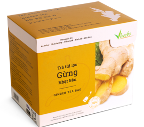 Trà túi lọc gừng